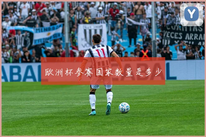 欧洲杯参赛国家数量是多少