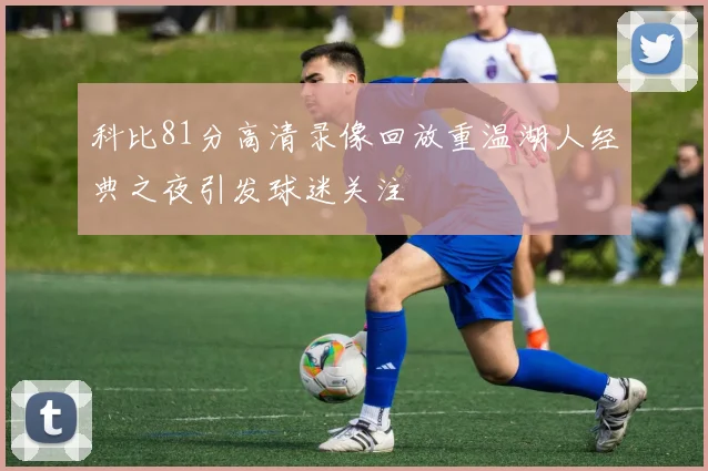 科比81分高清录像回放重温湖人经典之夜引发球迷关注