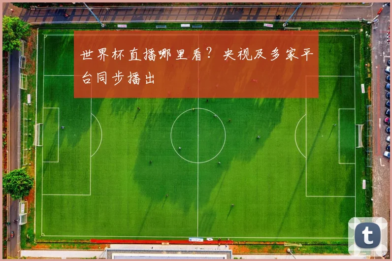 世界杯直播哪里看？央视及多家平台同步播出