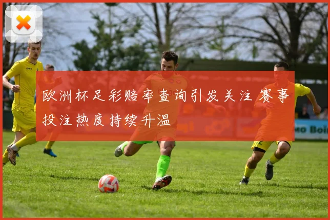 欧洲杯足彩赔率查询引发关注 赛事投注热度持续升温