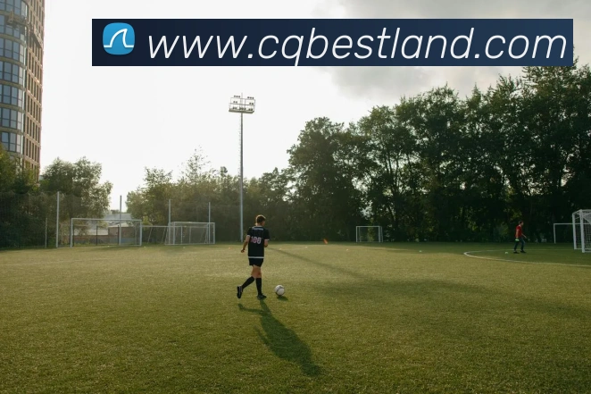 辅助工具 辅助工具